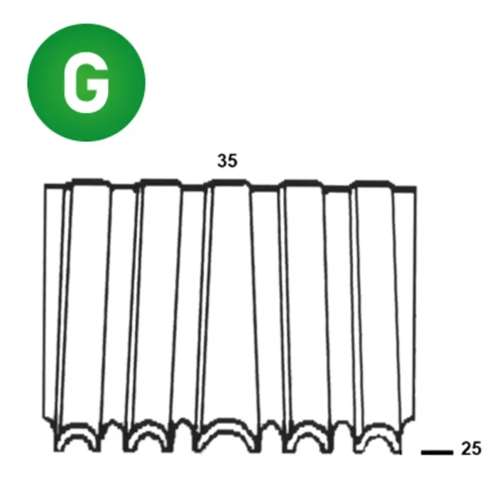 5000 AGRAFES CROCO WN-25 / 35 – ASLAFIX – 6WN251