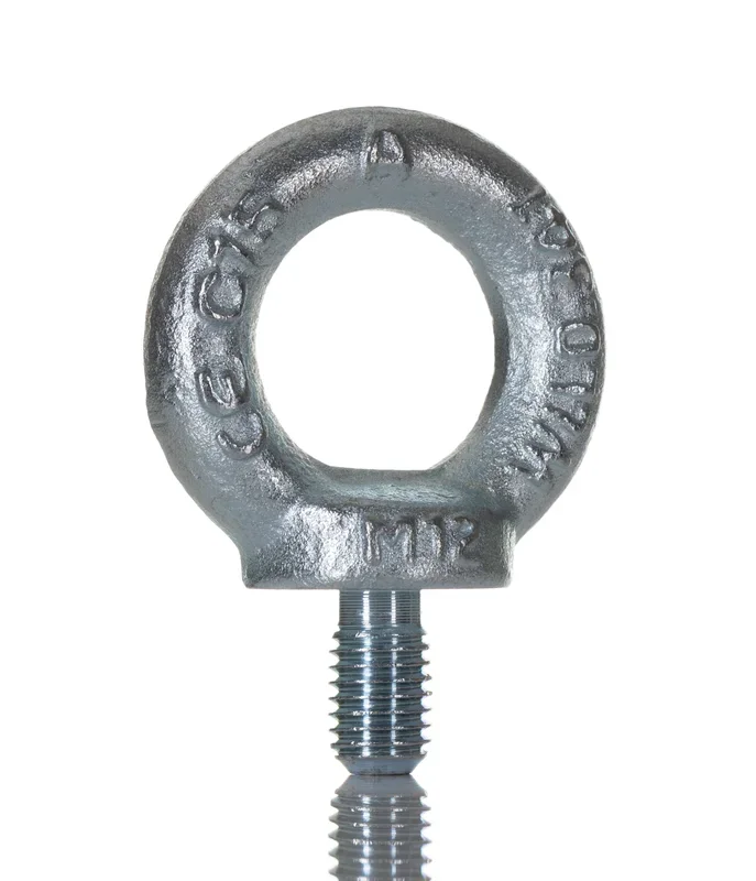 Anneau de levage boulonné ABB IS2