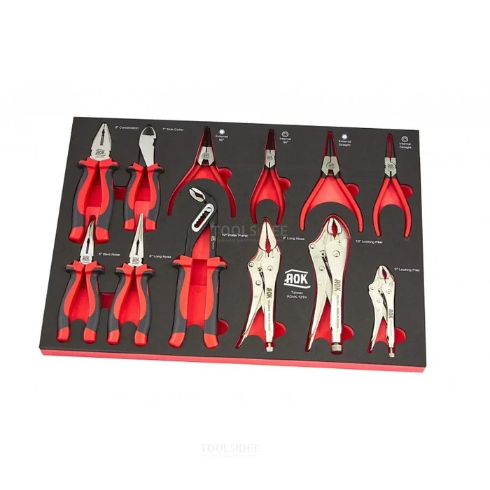 AOK Ensemble de 12 pinces professionnelles avec insert en mousse