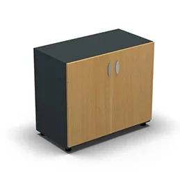 Armoire basse mélaminé – 2 portes pleines – 1 tablette – 80 x 70 cm – portes hêtre doré – top et façades gris anthracite