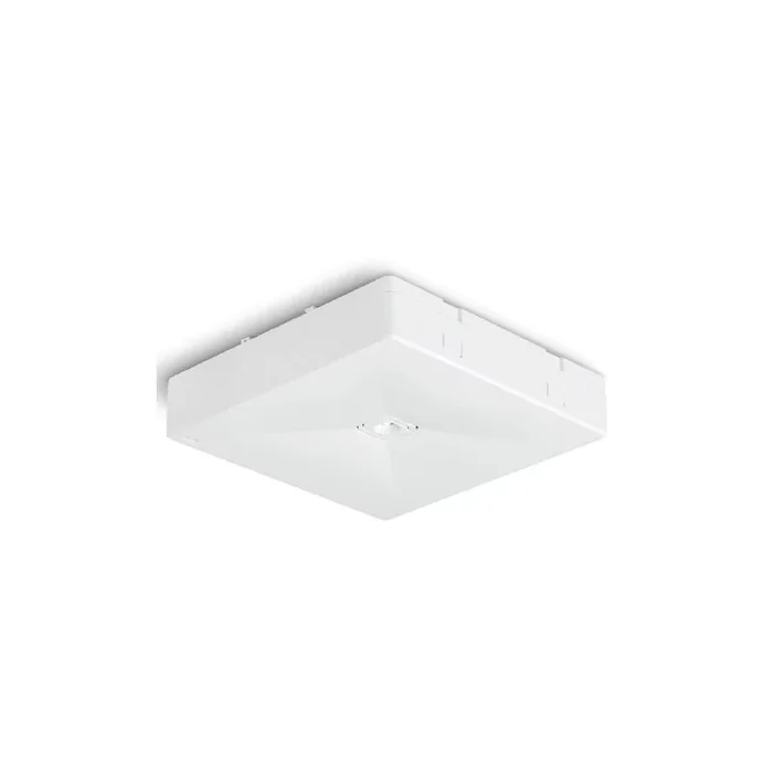 BAES ambiance certifié NF – IP20 IK04 – 345 lm