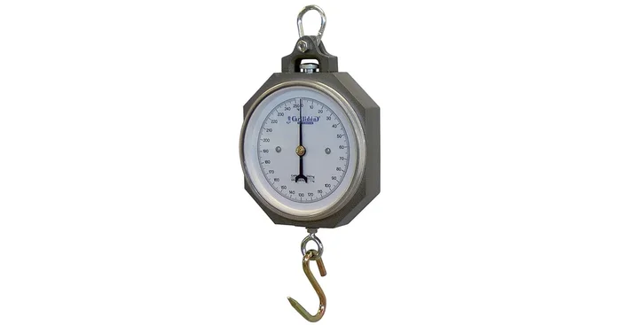 Balance suspendue analogue capacité 250 kg x 1 kg Limit