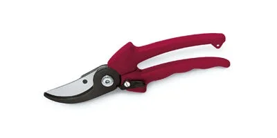 Bl-secateur 2l interch.lg 210mm BUISARD – 737156