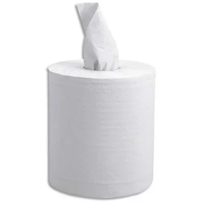 Bobine d’essuyage blanche Maxi prédécoupée – 2 plis – 450 feuilles 30 x 19,5 cm – lot de 6