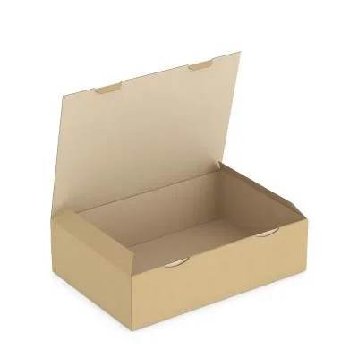 Boîte carton brune d&rsquo;expédition RAJAPOST 43x30x12 cm