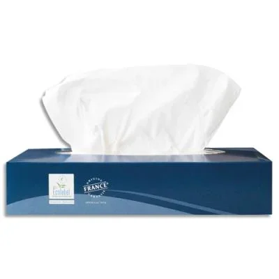 Boîte de 100 mouchoirs blancs – 100 feuilles – 2 plis lisses – dimensions : 19,7 x 20 cm