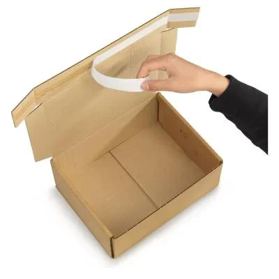 Boîte postale carton brune avec fermeture adhésive 25x20x10 cm