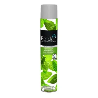 Bombe désodorisante Boldair – parfum fraîcheur mentholée – 500 ml