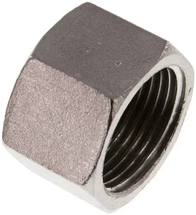 Bouchon de fermeture Rp 3/4&Prime;, 1.4408