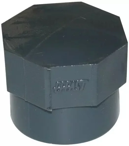 Bouchon femelle 1&Prime; 1/4
