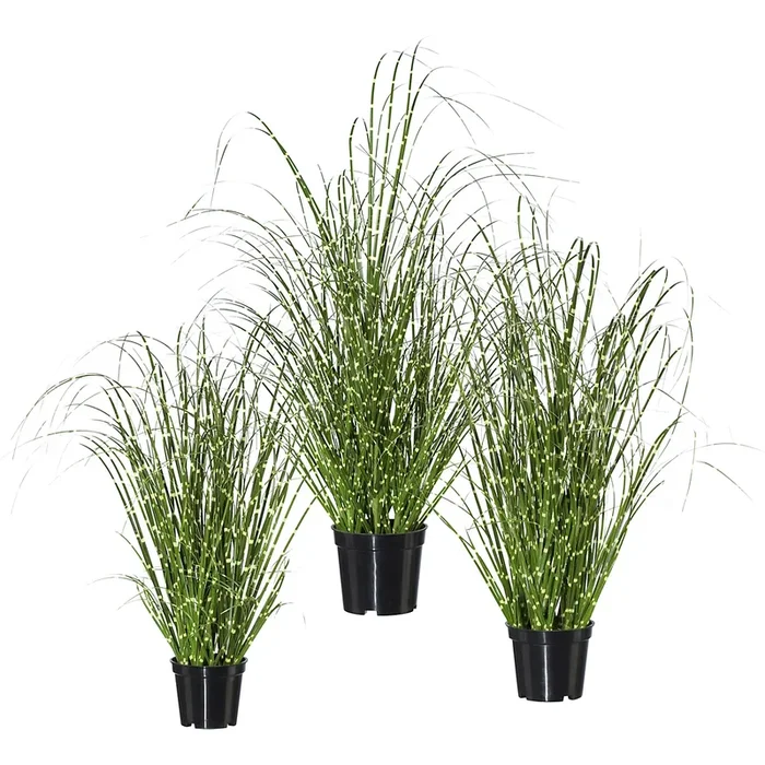 Buisson d’herbe