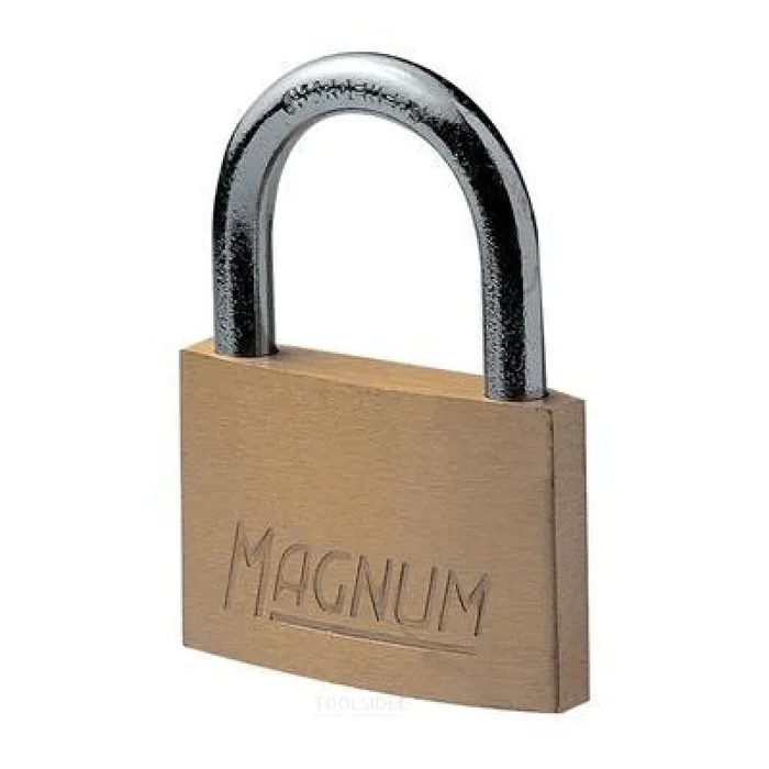 Cadenas MasterLock, laiton massif, 50mm