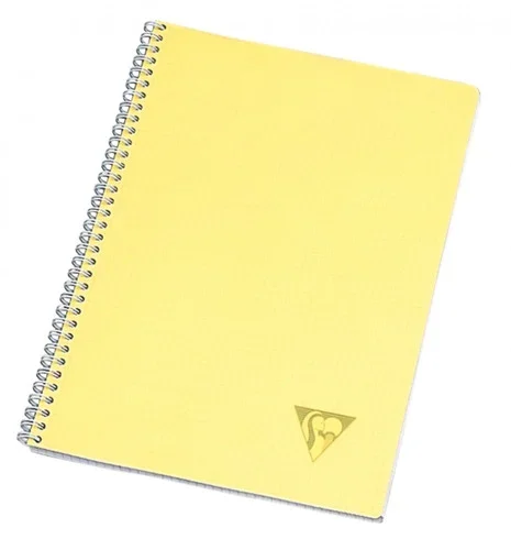 Cahier à reliure intégrale LINICOLOR 100 pages 21 x 297 cm Seyès