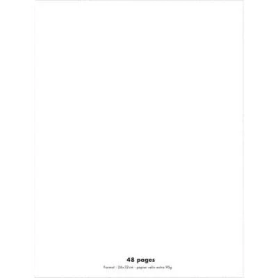 Cahier éco – piqué – couverture polypro – 48 pages – 24 x 32 cm – 90g – grands carreaux – incolore