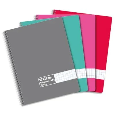 Cahier éco – spirales – couvertures carte – 100 pages – 17×22 cm – grands carreaux – assortis
