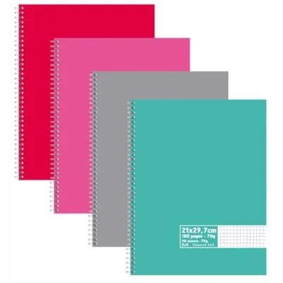Cahier éco – spirales – couvertures carte – 180 pages – 21×29,7 cm – petits carreaux – assortis