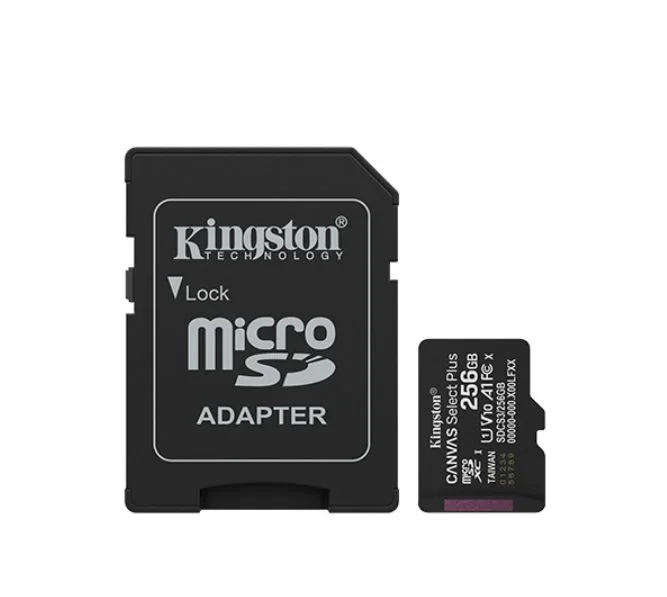 Carte SD 256 GB MicroSDXC