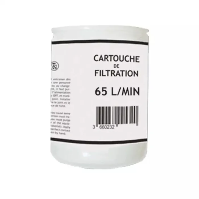 Cartouche filtrante 65L/min Renson