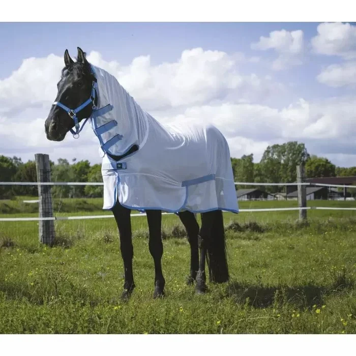 Chemise filet RIDING WORLD combo blanc 6’3