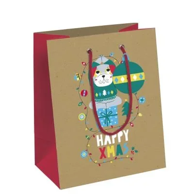Clairefontaine Sac cadeau de Noël &lsquo;Make a Wish&rsquo;, moyen