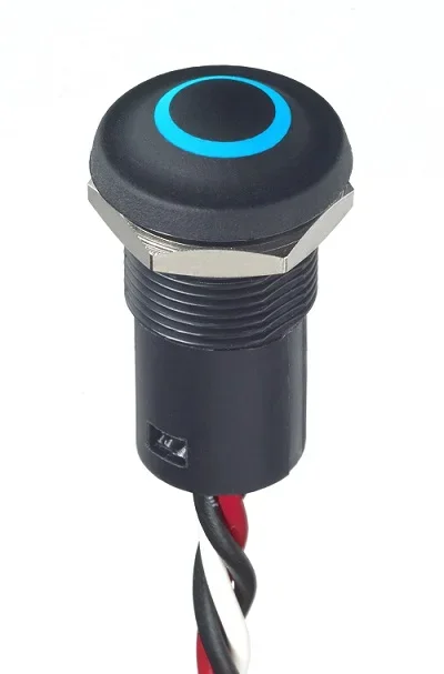 Commutateur à bouton-poussoir lumineux série IX, Momentané lumineux, LED Bleu, Montage panneau