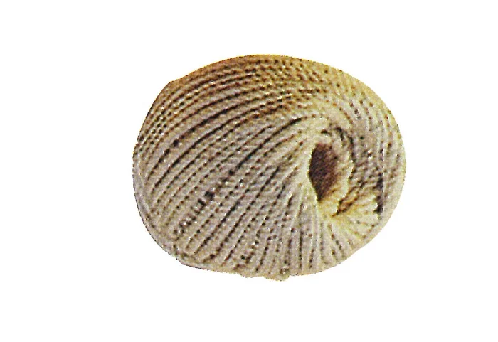CORDEAU MAÇON CORDERIE MESNARD CORMENÉ SYNTHÉTIQUE – CXCMC010R100N