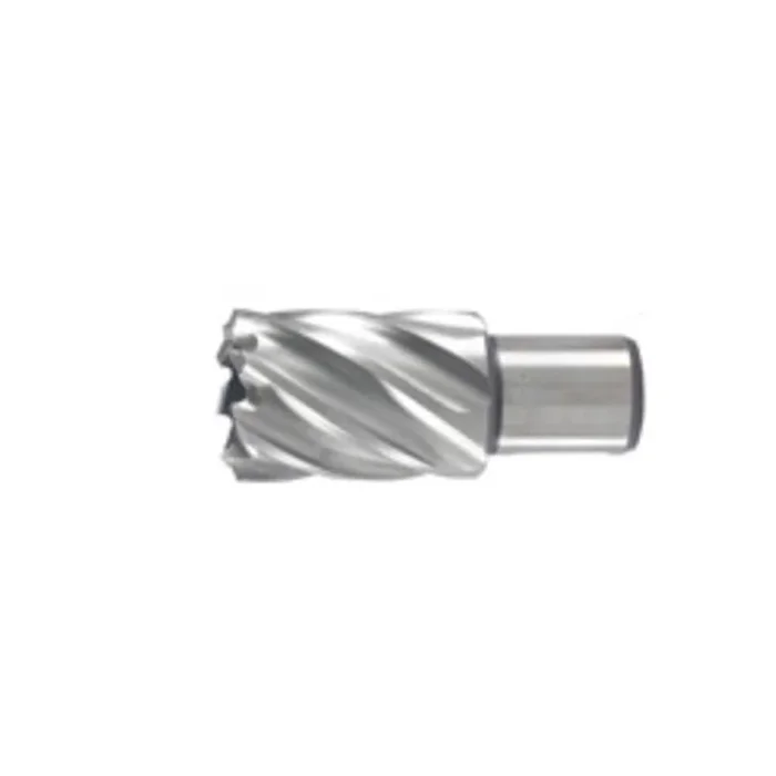 Couronne à métaux 46 x 30 mm – HIKOKI – 754437