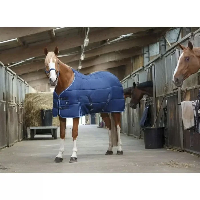 Couverture écurie RIDING WORLD bleu marine 6’0