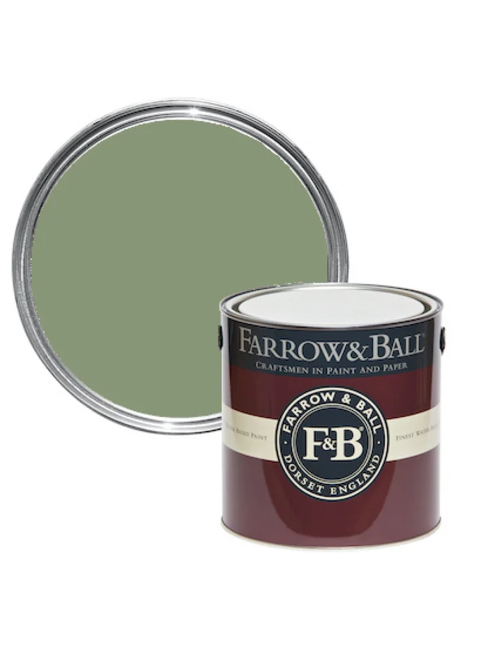 Farrow & Ball 230994503 Peinture murale