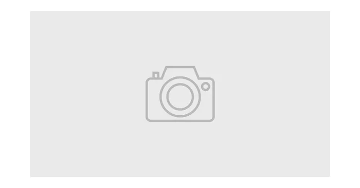 Filtre pour CAT03010 MW Tools
