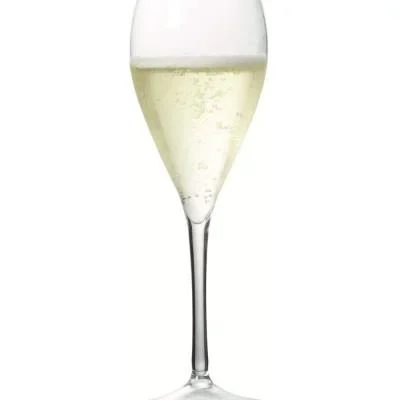 Flûte à champagne réutilisable en plastique 17 cl – Lot de 12