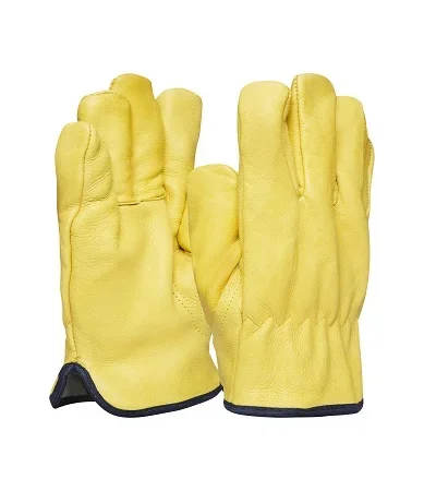 Gants réutilisables Polyco Healthline, Taille 10, 1 Paire, Jaune