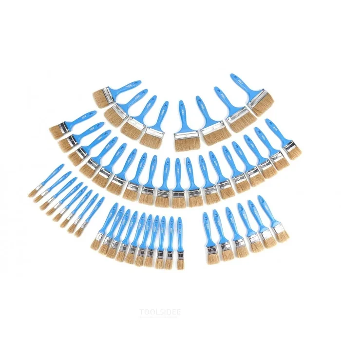 HBM Ensemble de 50 pinceaux pour peinture