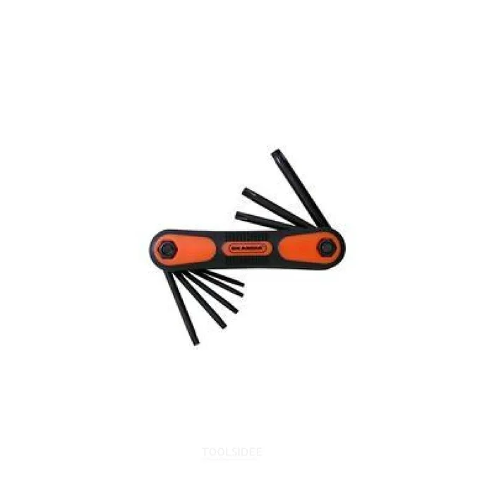 Jeu de clés Allen Torx Skandia T9-T40 Encre