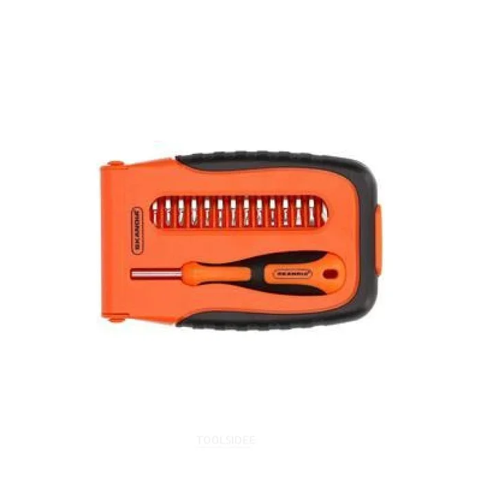 Jeu de tournevis de précision Skandia 16pcs.ZB