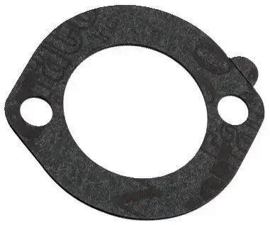 Joint de filtre origine Briggs & Stratton