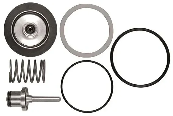Kit de pièces d’usure pour régulateur de pression/filtre en acier inoxydable coulé 580RC3-VS