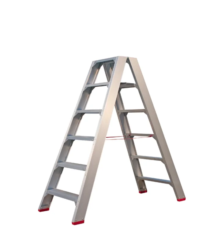 Little Jumbo 4741000206 Échelle double – Aluminium – 2 x 6 marches – hauteur de travail max. 3,45 m.