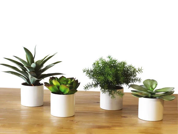 Lot de 4 mini plantes artificielles cylindre H18 cm – Tanaman