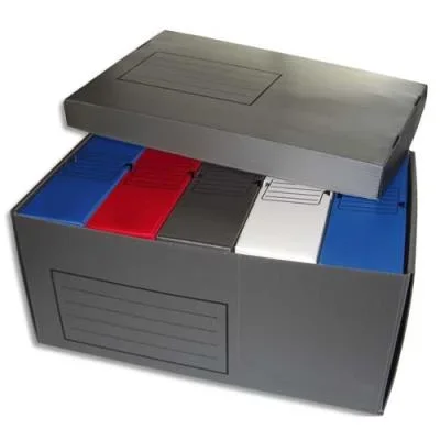 Lot de 5 boîte à archives en polypropylène – dos 10 cm – + 1 conteneur gris pour 5 boites archives