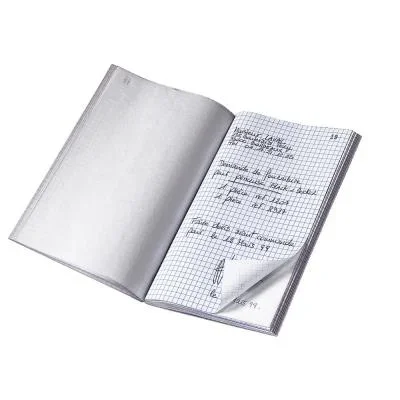 Manifold Le Dauphin – autocopiant – quadrillé – 14,8 x 21 cm – 50 feuillets – dupli