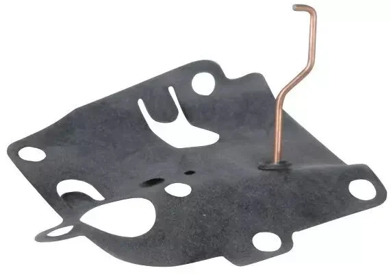 Membrane origine Briggs & Stratton