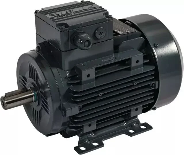 Moteur electrique triphase (380 v) 660 v 4 poles 6,38 kw 8,55 cv 1800t b3 – ie3