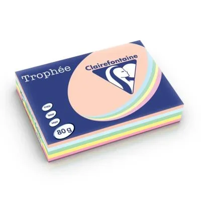 Papier couleur Trophée – coloris assortis pastel rose – canari – vert – bleu – saumon – 80g – A4 – ramette 5 x 100 feuilles