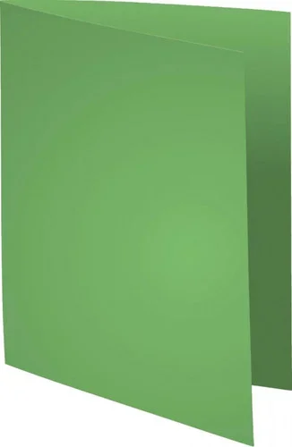 Paquet de 100 chemises 170g FOREVER 180 format 24×32 cm vert vif