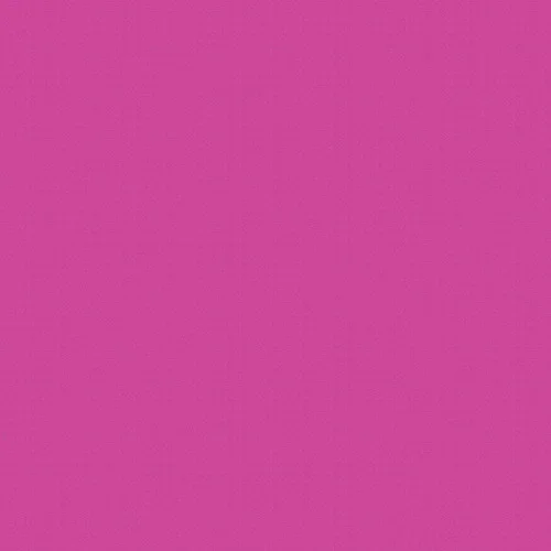 Paquet de 25 feuilles Cartoline 50×65 cm 130 g fuchsia