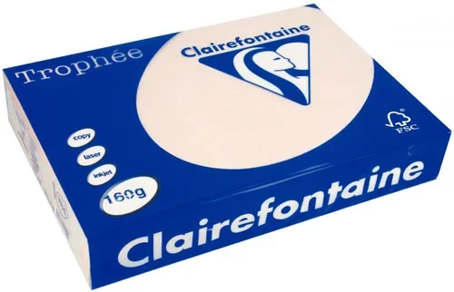 Paquet de 250 feuilles de papier 160g de format A3 saumon TROPHEE CLAIREFONTAINE