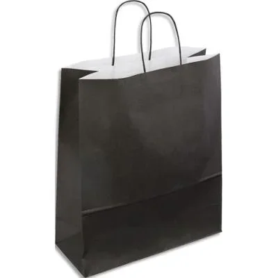 Paquet de 50 sacs kraft noir poignées torsadées 230 + 120 x 300 mm