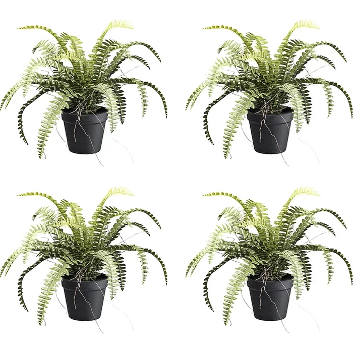 Plante artificielle fougère de forêt