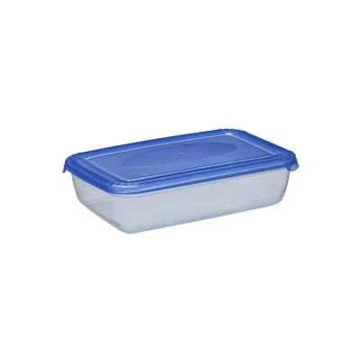 plast team Boîte de congélation Polar, 0,45 litre, gris